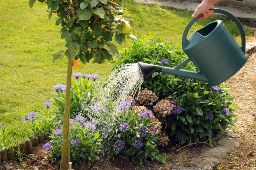 Seasonal lawn maintenance tips for a healthy garden