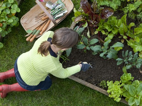 Garden clearance and green waste being sorted for recycling